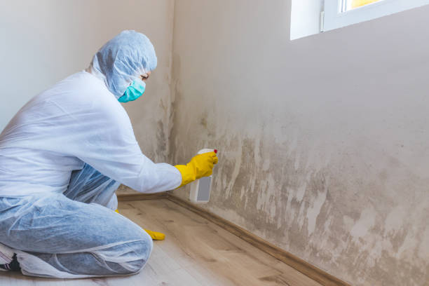 Hvac And Air Duct Mold Remediation inspection of HVAC system in Peabody